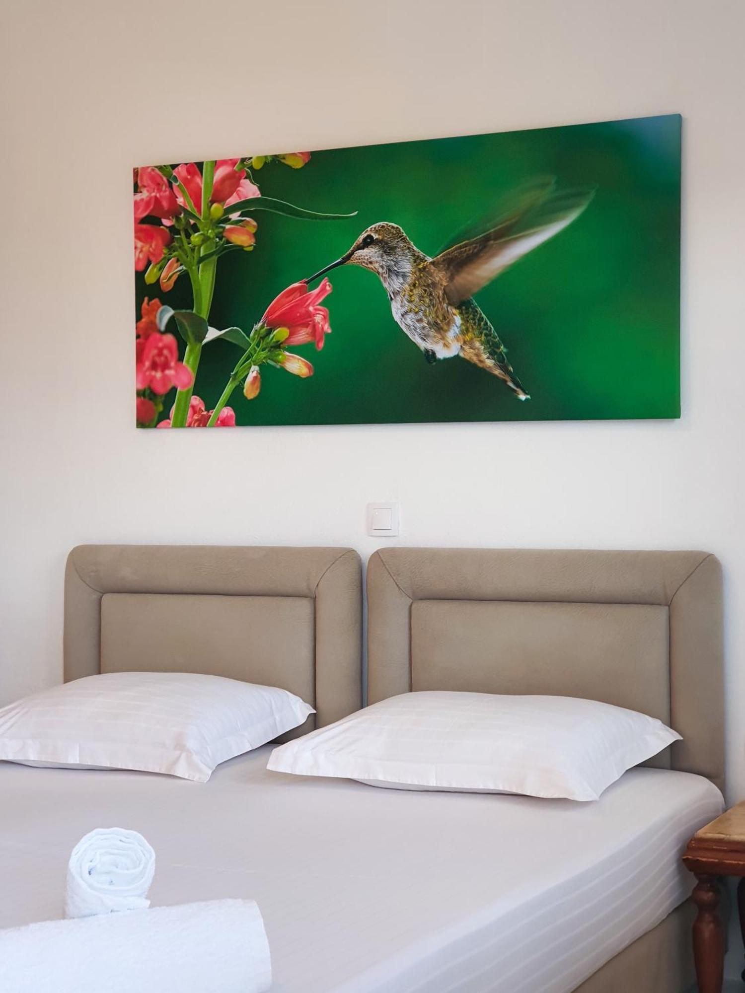 Bodini'S Rooms Himare Exterior photo